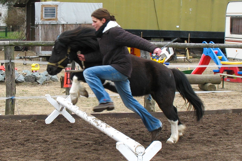 Mensch und Pony beim Cavaletti-Sprung - HIPPOLINI®-Konzept für alle Altersgruppen