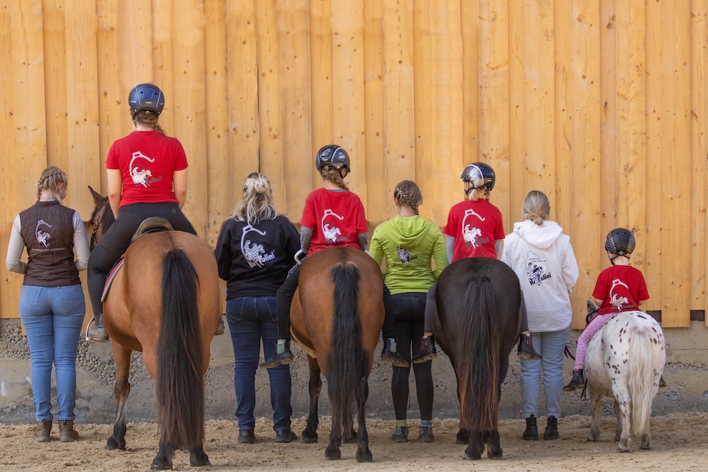 Eine Gruppe von Reitschülern und Begleitpersonen, die verschiedene Altersgruppen von Kleinkind bis Erwachsene auf Ponys und Pferden darstellt. Visuelle Bestätigung für HIPPOLINI Reiteinstieg für alle Altersgruppen.